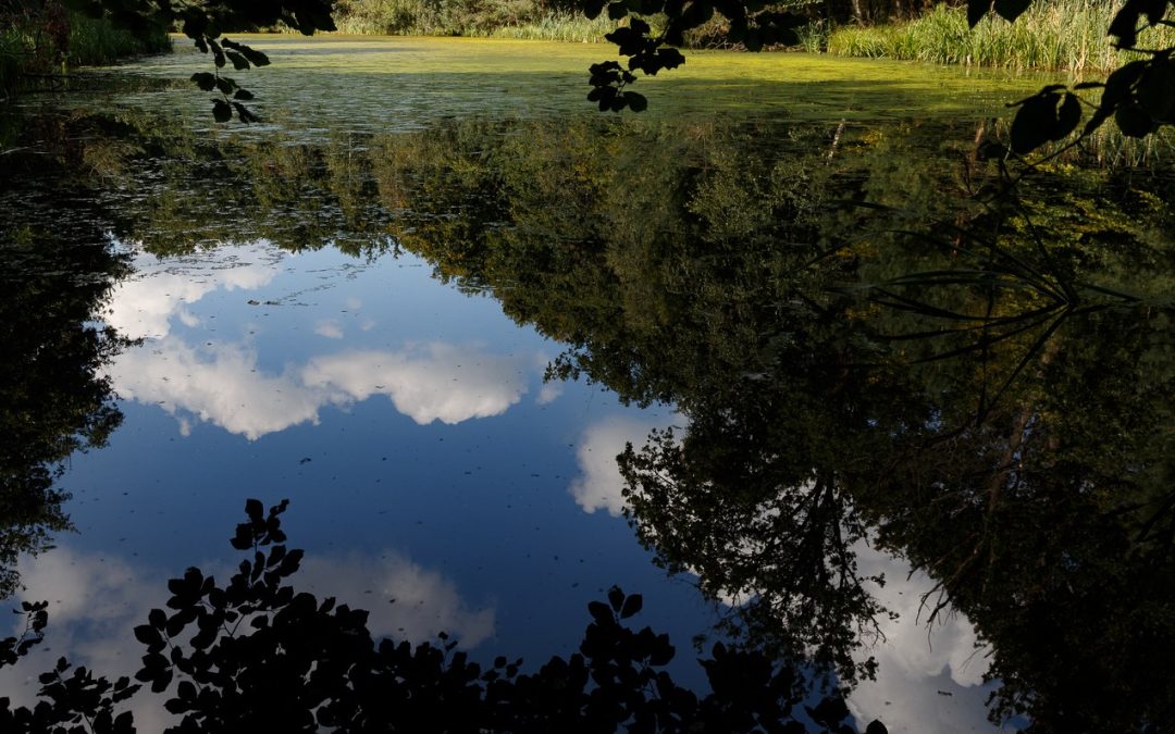 Op weg naar Pasen door Juup van Werkhoven 31 maart
