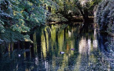 Meditaties in de Adventstijd 14 december
