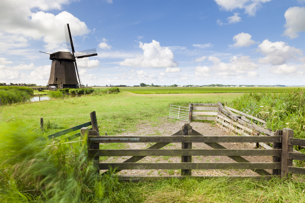Zomer2