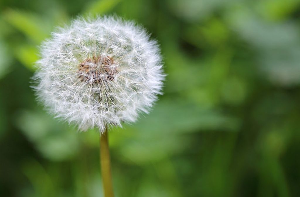 Op Weg naar Pinksteren 14 mei