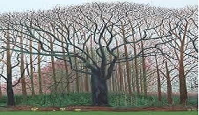 Live dienst Bloemendaal Overveen met ds. Jessa van der Vaart 18 augustus