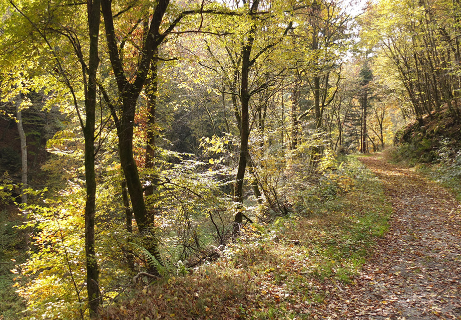 Herfst 24