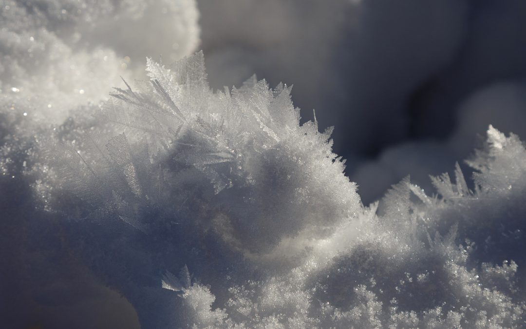 Meditaties in de Adventstijd 5 december