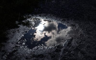 Meditaties in de Adventstijd 1 december