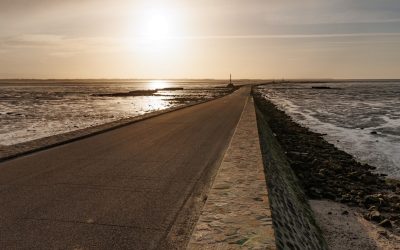 Meditaties in de Adventstijd 8 december