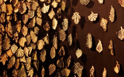 Meditaties in de Adventstijd 22 december