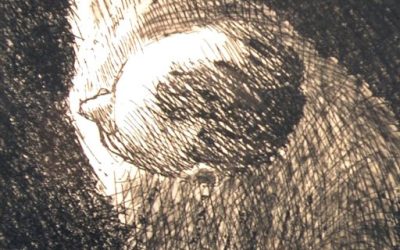 Live dienst Bloemendaal Overveen met ds. Tjitske de Vries- Meijer