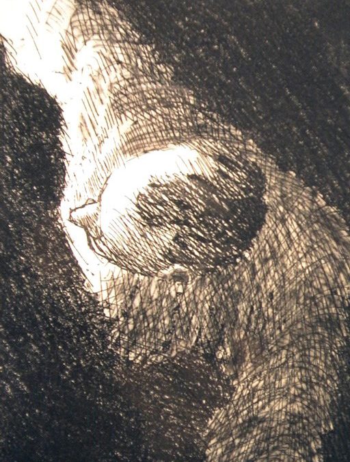 Live dienst Bloemendaal Overveen met ds. Tjitske de Vries- Meijer